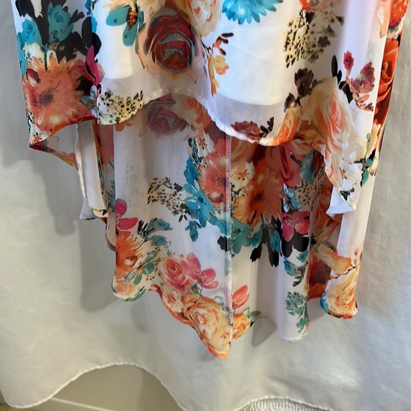 BaileyBlueb Medium Floral Hi-Low Dress - Picture 4 of 7